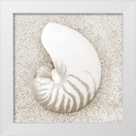 In the Sand VII White Modern Wood Framed Art Print by Christensen, Jim