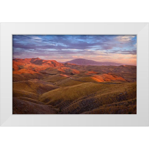 Parched Palette White Modern Wood Framed Art Print by Geistweite, Mark