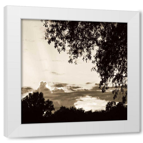 Sunset Trees Sepia Sq I White Modern Wood Framed Art Print by Hausenflock, Alan