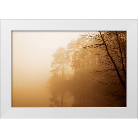 Fog on Shelly Lake I White Modern Wood Framed Art Print by Hausenflock, Alan