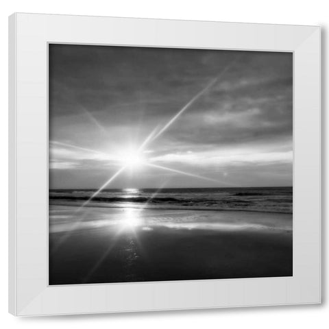 Beauteous Light III White Modern Wood Framed Art Print by Hausenflock, Alan