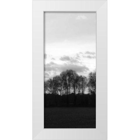 Winter Sunset BW III White Modern Wood Framed Art Print by Hausenflock, Alan