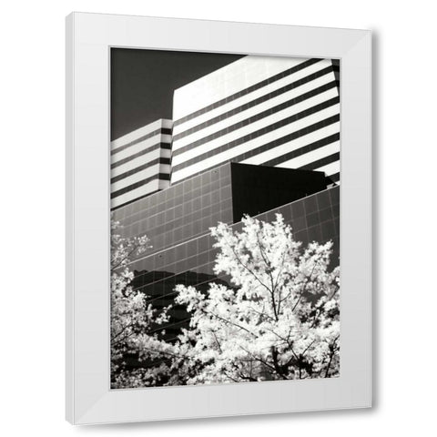 Geometric IV White Modern Wood Framed Art Print by Hausenflock, Alan