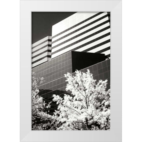 Geometric IV White Modern Wood Framed Art Print by Hausenflock, Alan