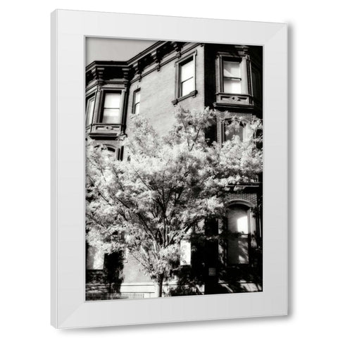 Main Street Elegance I White Modern Wood Framed Art Print by Hausenflock, Alan