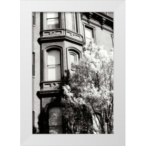 Main Street Elegance II White Modern Wood Framed Art Print by Hausenflock, Alan