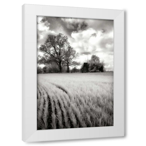 Stormy Skies II White Modern Wood Framed Art Print by Hausenflock, Alan