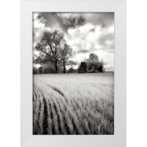Stormy Skies II White Modern Wood Framed Art Print by Hausenflock, Alan