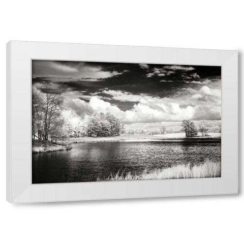 Shearon Lake II White Modern Wood Framed Art Print by Hausenflock, Alan