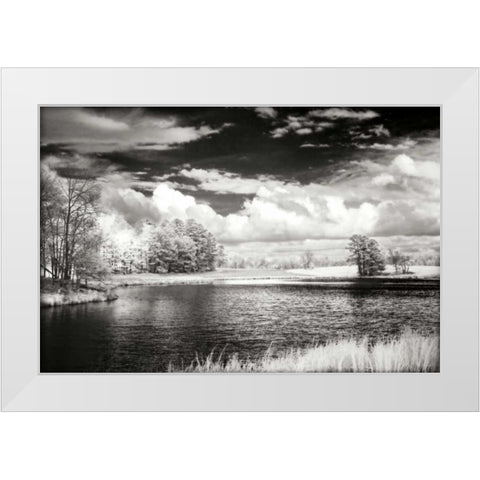 Shearon Lake II White Modern Wood Framed Art Print by Hausenflock, Alan