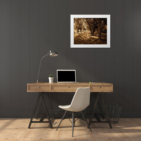 Ash Lawn II White Modern Wood Framed Art Print by Hausenflock, Alan