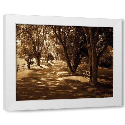 Ash Lawn II White Modern Wood Framed Art Print by Hausenflock, Alan