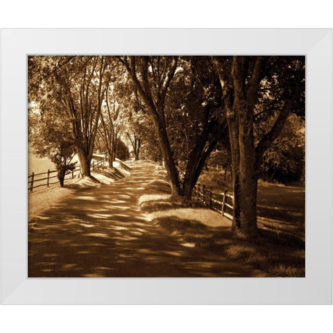 Ash Lawn II White Modern Wood Framed Art Print by Hausenflock, Alan