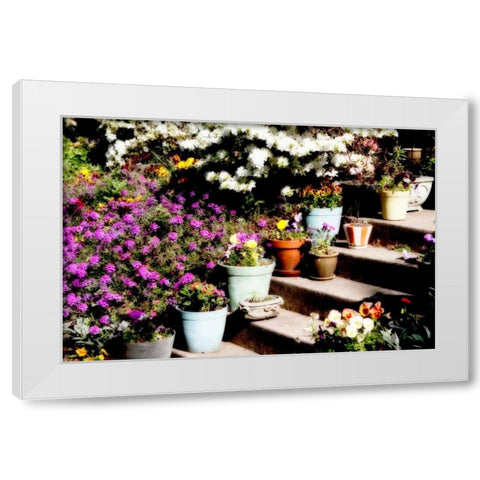 Sidewalk Spring II White Modern Wood Framed Art Print by Hausenflock, Alan