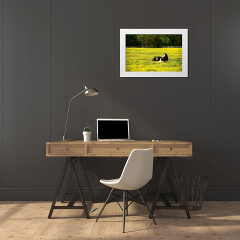 Black Pinto I White Modern Wood Framed Art Print by Hausenflock, Alan