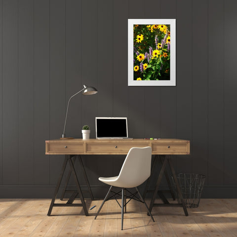Summer Glory I White Modern Wood Framed Art Print by Hausenflock, Alan