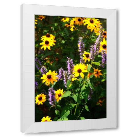Summer Glory I White Modern Wood Framed Art Print by Hausenflock, Alan