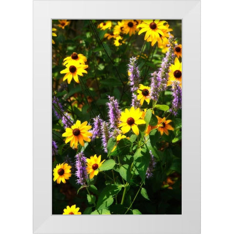 Summer Glory I White Modern Wood Framed Art Print by Hausenflock, Alan