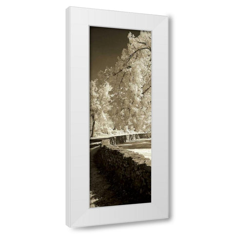 Seminary Wall Panel White Modern Wood Framed Art Print by Hausenflock, Alan