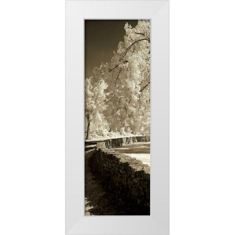 Seminary Wall Panel White Modern Wood Framed Art Print by Hausenflock, Alan