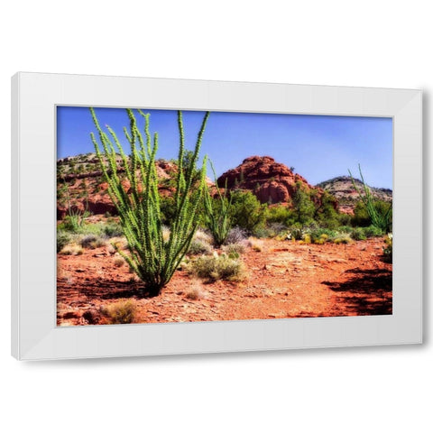High Desert II White Modern Wood Framed Art Print by Hausenflock, Alan