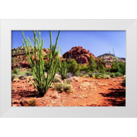 High Desert II White Modern Wood Framed Art Print by Hausenflock, Alan