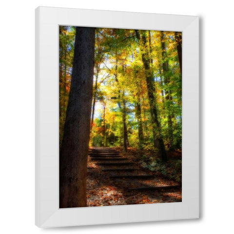 Autumn Light II White Modern Wood Framed Art Print by Hausenflock, Alan