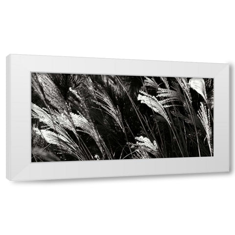 Wind Dancers I White Modern Wood Framed Art Print by Hausenflock, Alan
