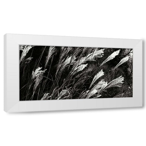 Wind Dancers II White Modern Wood Framed Art Print by Hausenflock, Alan