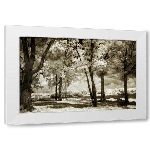 Cobb Island Channel I White Modern Wood Framed Art Print by Hausenflock, Alan