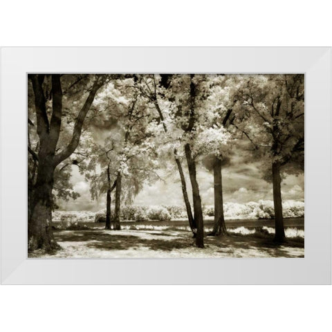 Cobb Island Channel I White Modern Wood Framed Art Print by Hausenflock, Alan