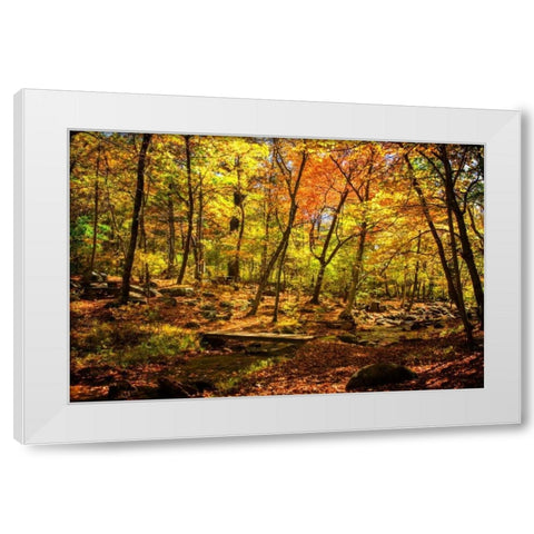 Picnic Perfect I White Modern Wood Framed Art Print by Hausenflock, Alan
