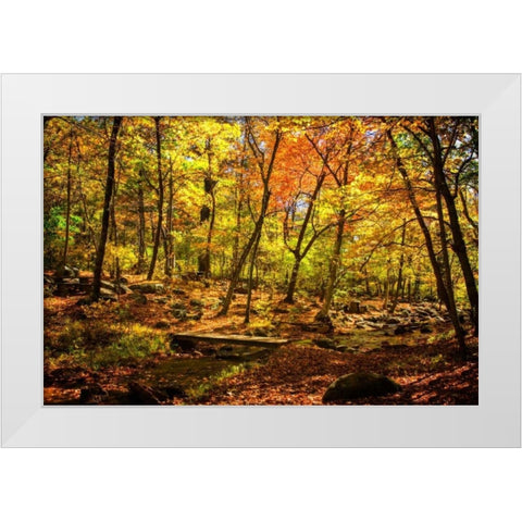 Picnic Perfect I White Modern Wood Framed Art Print by Hausenflock, Alan