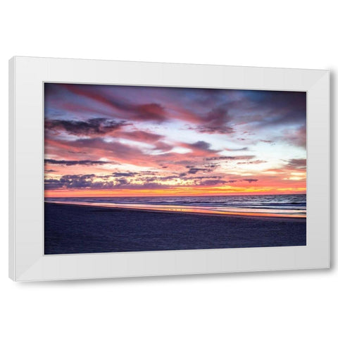 Gulls on the Shore I White Modern Wood Framed Art Print by Hausenflock, Alan