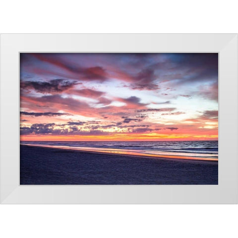 Gulls on the Shore I White Modern Wood Framed Art Print by Hausenflock, Alan