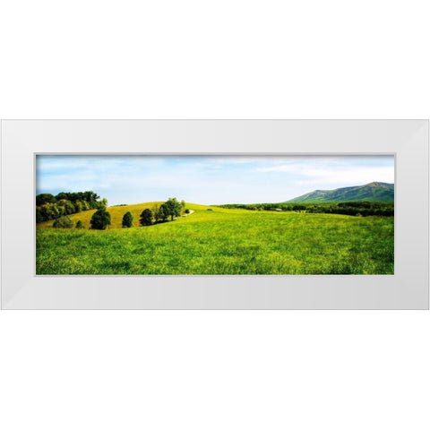 Mountain Vista I White Modern Wood Framed Art Print by Hausenflock, Alan