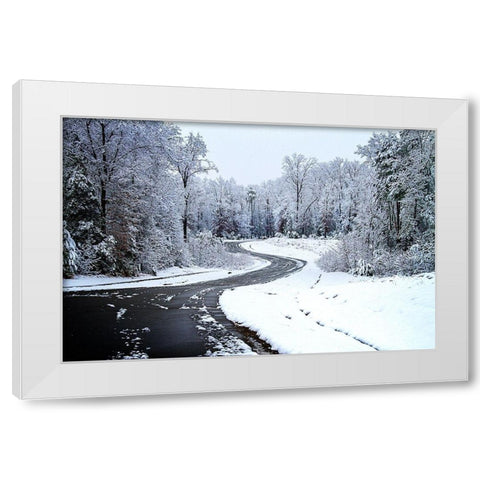 Lindsay Hill Lane White Modern Wood Framed Art Print by Hausenflock, Alan