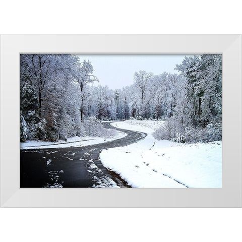 Lindsay Hill Lane White Modern Wood Framed Art Print by Hausenflock, Alan