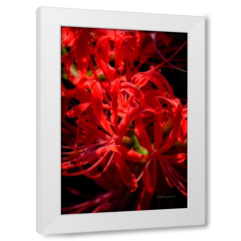 Hurricane Lily White Modern Wood Framed Art Print by Hausenflock, Alan