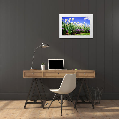 Flower Border I White Modern Wood Framed Art Print by Hausenflock, Alan