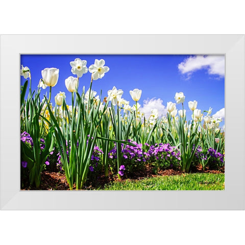 Flower Border I White Modern Wood Framed Art Print by Hausenflock, Alan