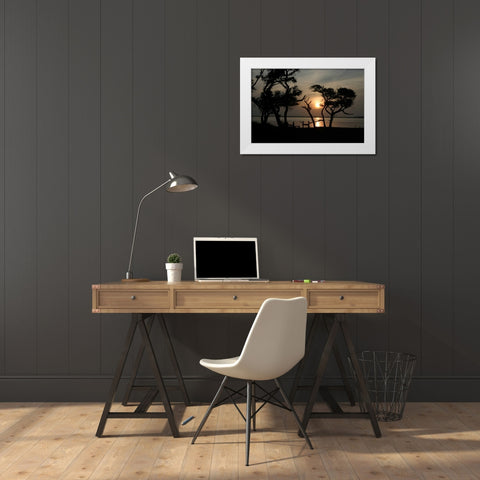 Beaufort I White Modern Wood Framed Art Print by Hausenflock, Alan