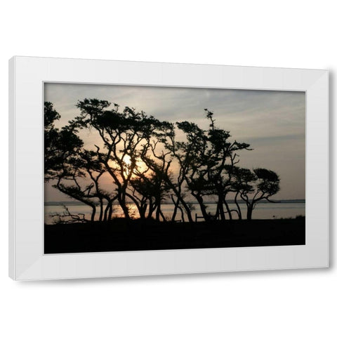 Beaufort II White Modern Wood Framed Art Print by Hausenflock, Alan