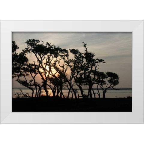 Beaufort II White Modern Wood Framed Art Print by Hausenflock, Alan