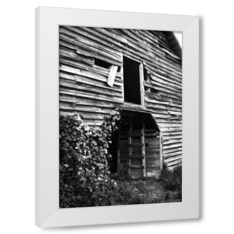 Falling Down White Modern Wood Framed Art Print by Hausenflock, Alan