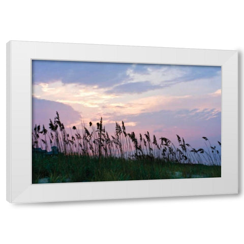 Sea Oats on Lavender I White Modern Wood Framed Art Print by Hausenflock, Alan