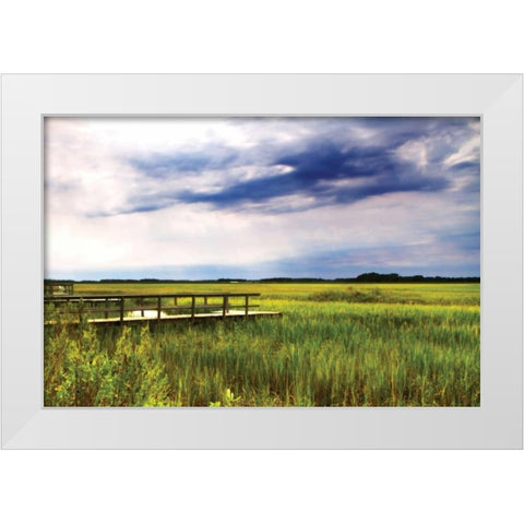 Marshland Storm I White Modern Wood Framed Art Print by Hausenflock, Alan