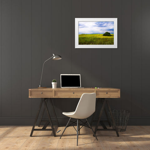 Marshland Storm II White Modern Wood Framed Art Print by Hausenflock, Alan