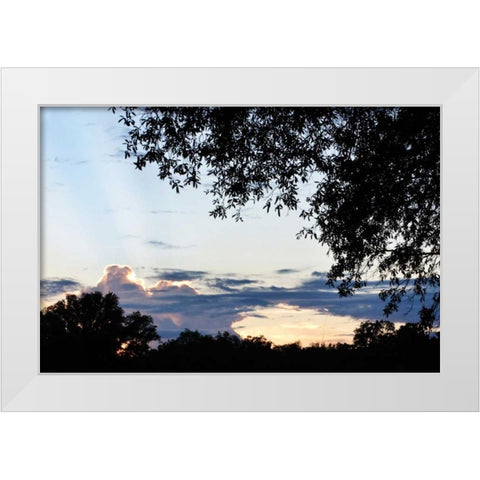 Sunset Through the Trees I White Modern Wood Framed Art Print by Hausenflock, Alan