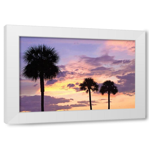 San Marcos Sunset IV White Modern Wood Framed Art Print by Hausenflock, Alan